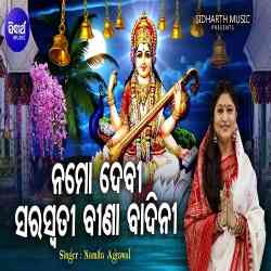 Namo Devi Saraswati Bina Badini